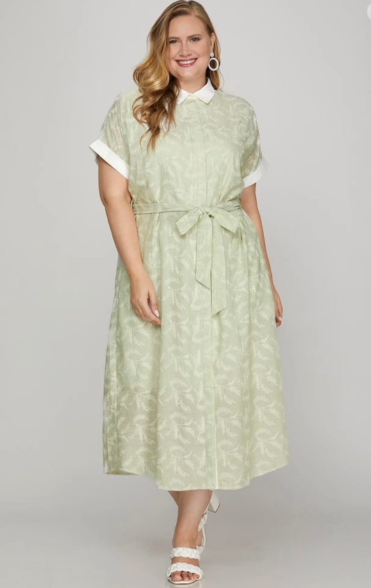 Spring Wear Curvy Dress