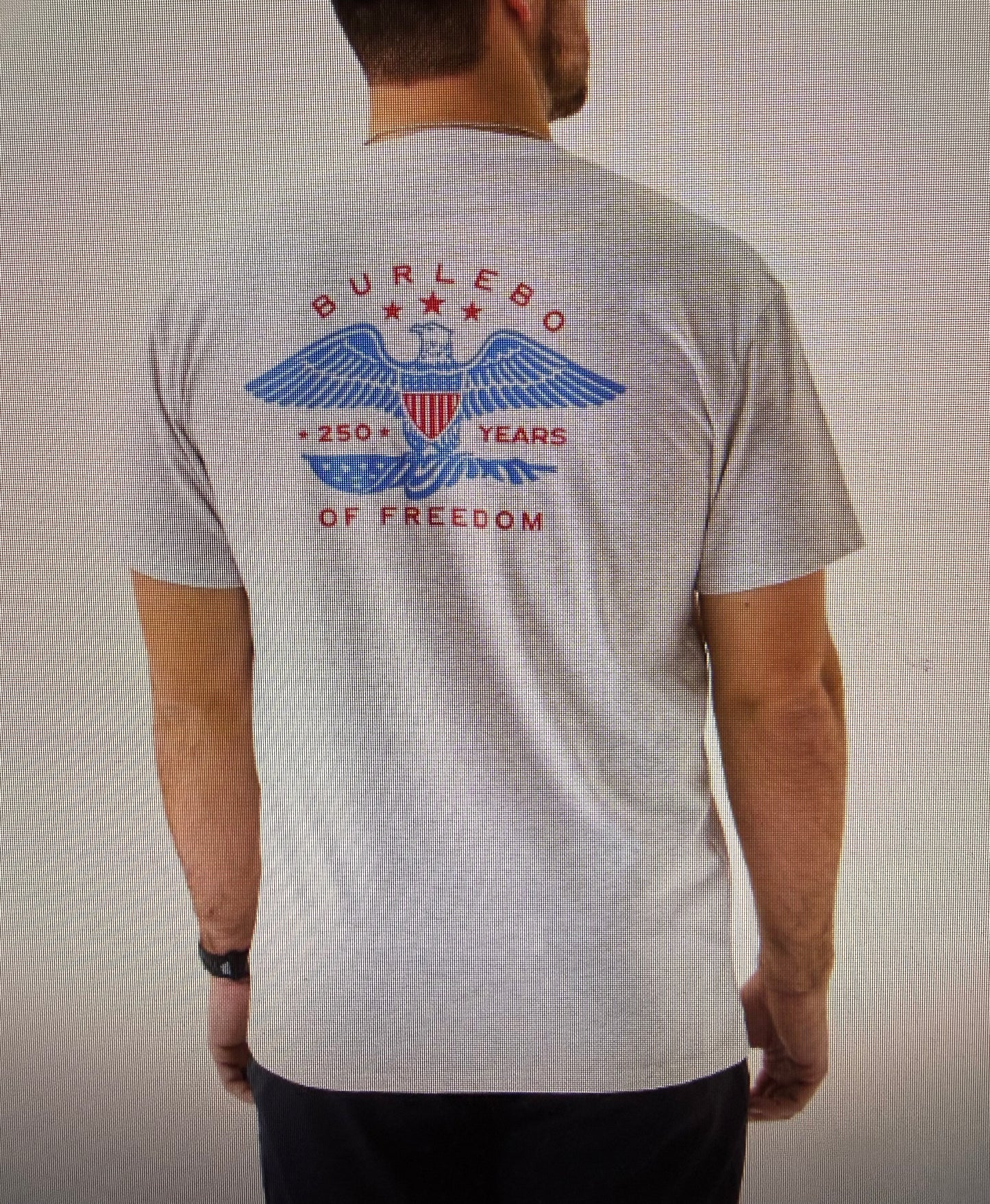 "Eagle Outdoors" Mens Tee